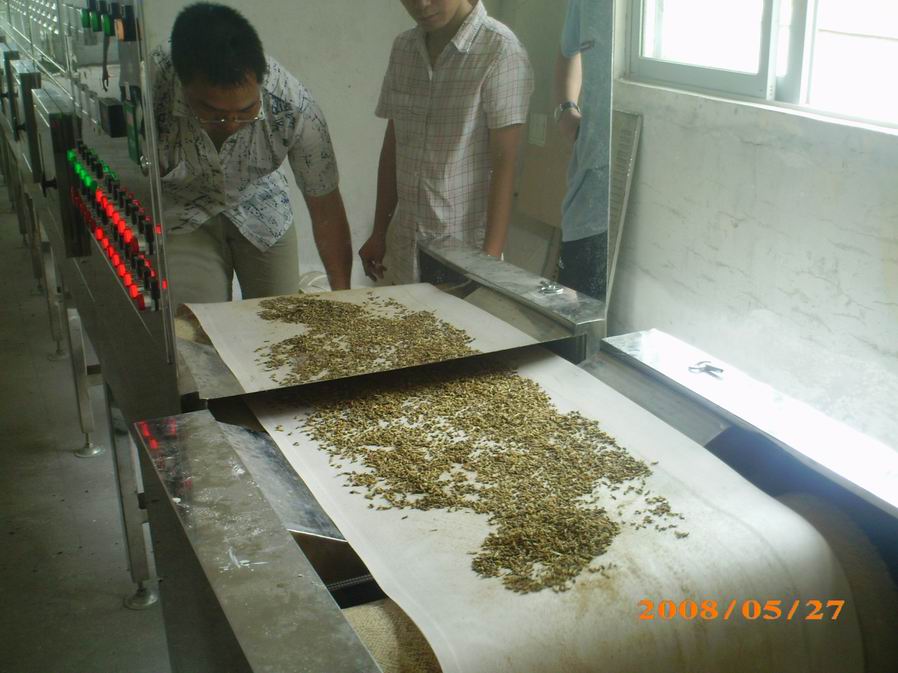 微波昆蟲(chóng)烘干膨化設(shè)備